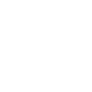 Race Bootcamp Logo